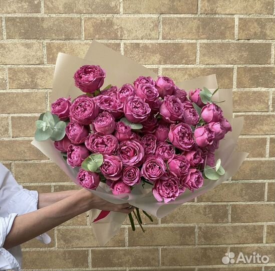 Розы Пиновыдные Кустовые розы