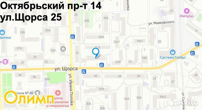 Лыжи охотничьи