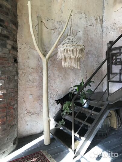 Дерево интерьерное