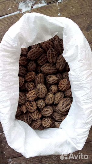 Маньчжурский орех Семена 10 шт