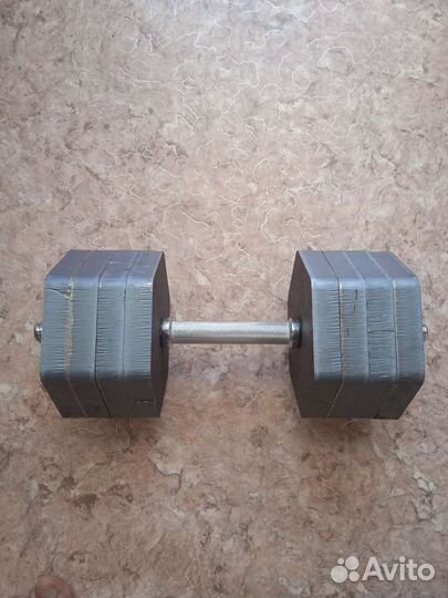 Гантели разборные