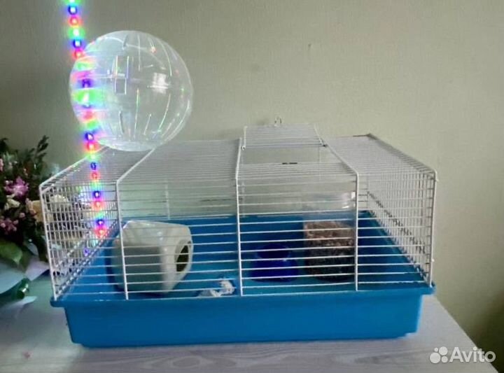 Клетка для грызунов бесплатно отдам