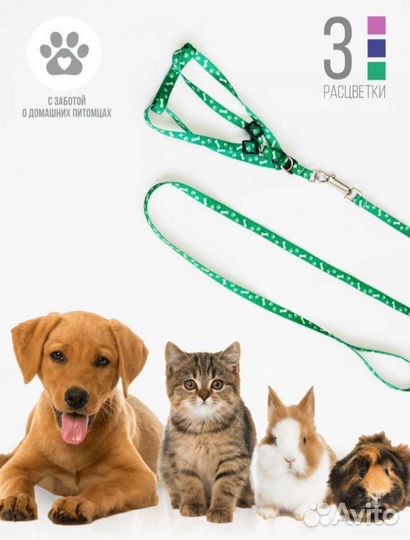 Новый набор для кошек, миска+ поводок