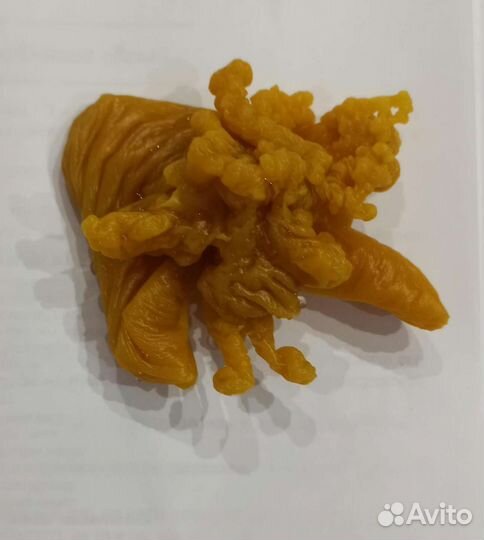 Отливка воском. Чистка диагностики.Защита