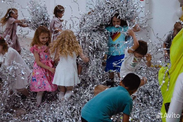 Серебряное шоу. Бумажное шоу. Аниматор