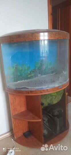 Аквариум