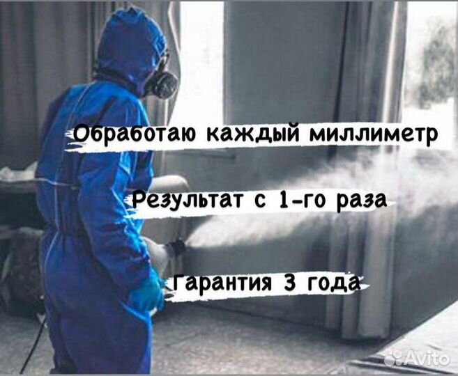 Уничтожение таракана клопа Дезинсекция Дезинфекция