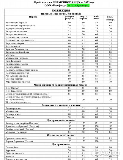 Генофонд Сергиев Посад инкубационное яйцо