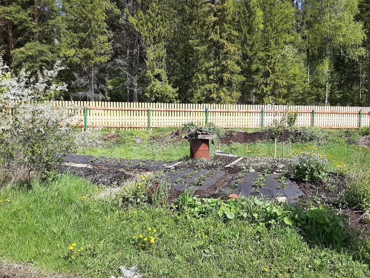 Дача 52 м² на участке 6 сот.