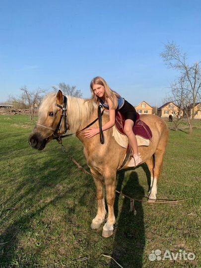 Конные прогулки / Прогулки на лошади