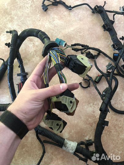 Проводка двигателя ford focus 3