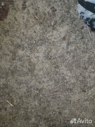 Натуральные удобрения для сада и огорода