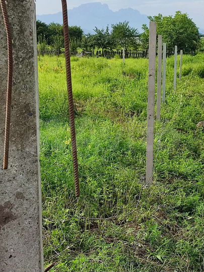 Участок 6 сот. (ИЖС)