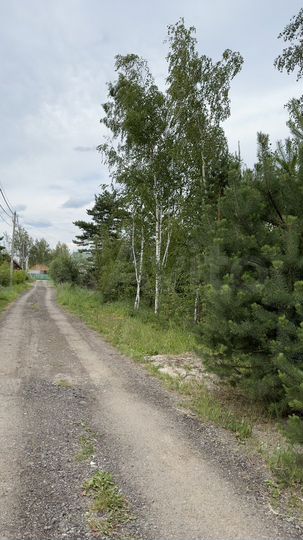 Участок 8,2 сот. (СНТ, ДНП)