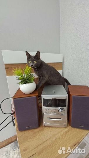 Музыкальный центр Sony