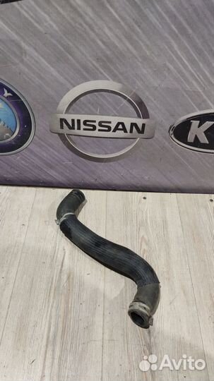 Патрубок радиатора охлаждения двс infiniti QX60