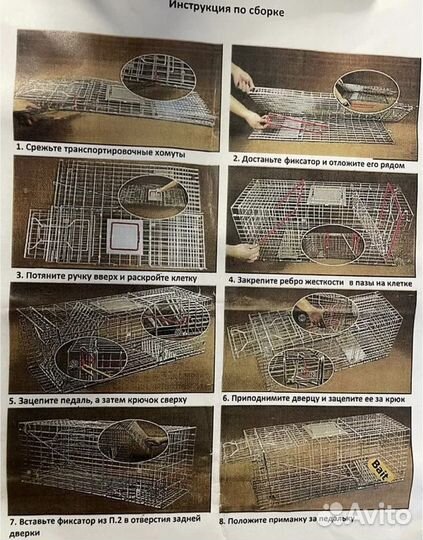 Кошколовка/котоловка в аренду