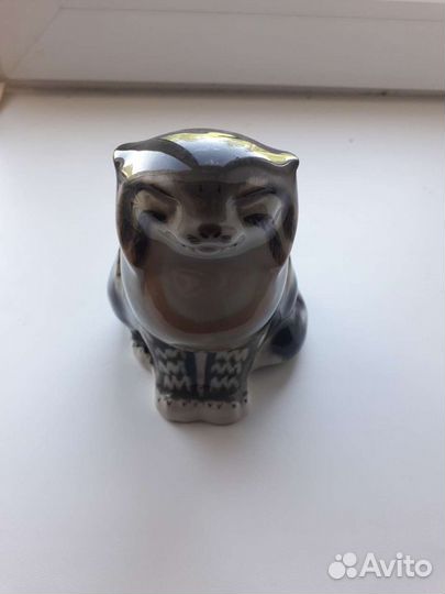Кот камышовый. Манул. Лфз