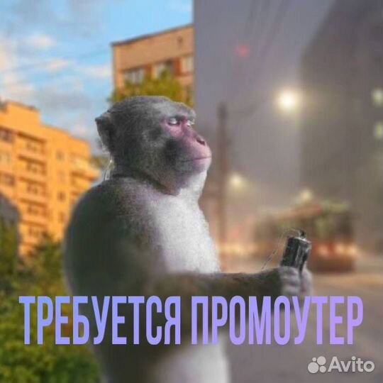 Промоутер от 14 лет