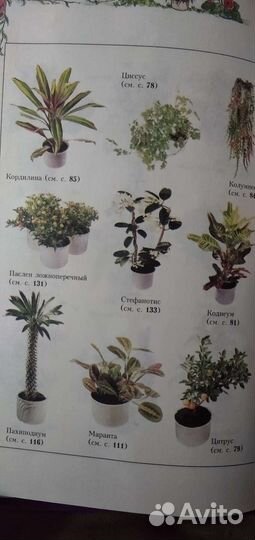 Книга комнатные растения