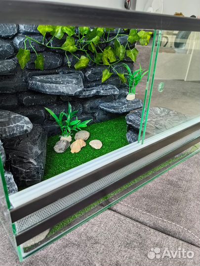 Террариум для рептилий