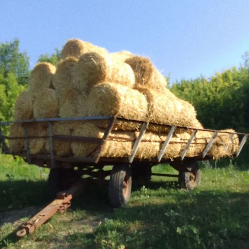 Сено Солома в тюках