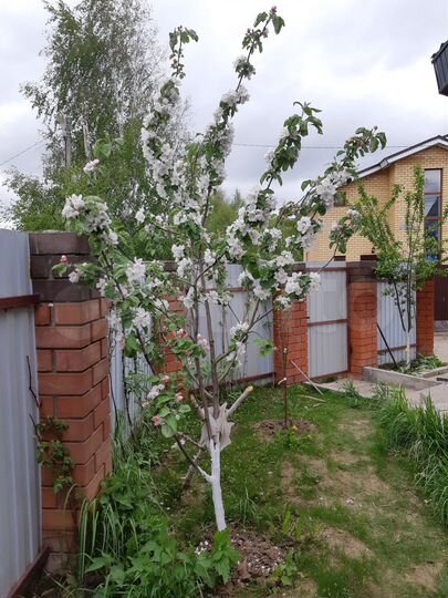 Коттедж 110 м² на участке 6,7 сот.