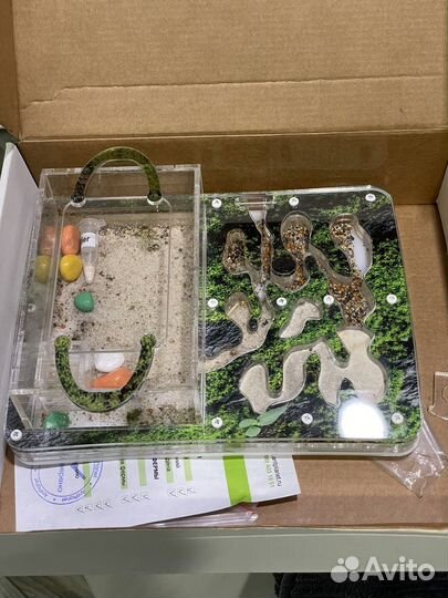 Муравьиная ферма без муравьев