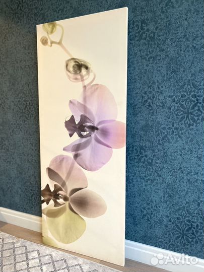 Постер большой 141 * 56см. Орхидея