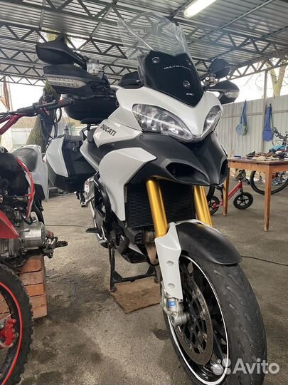 Продаю красавца