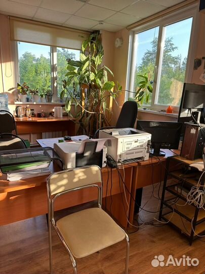Помощник руководителя