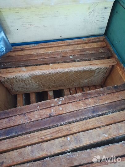 Сушь магазинная Дадан