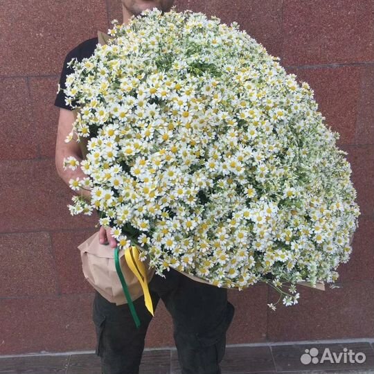 Букет из ромашек 11 21 31 41 51