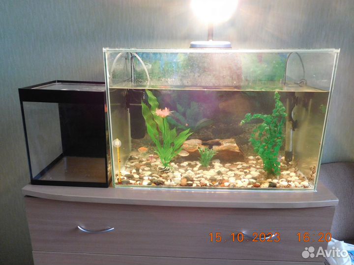 2 Аквариума бу
