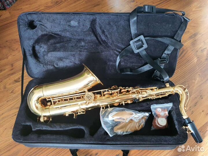 Саксофон альт Roy Benson AS 201