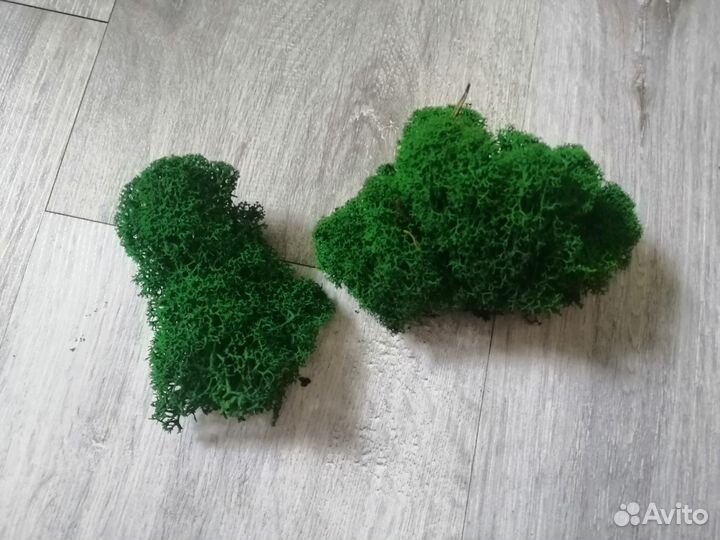 Искусственный мох