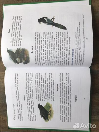 Буквари: Нищева, Жукова, карточки алфавит