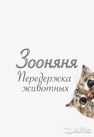 Передержка животных