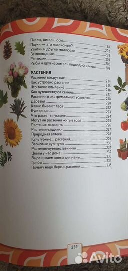 Моя первая энциклопедия