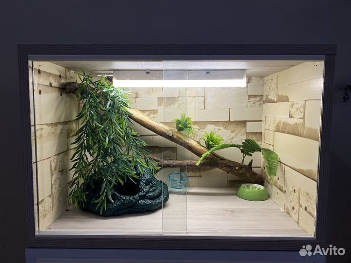 Комплект для эублефара