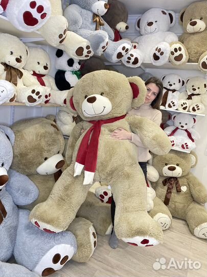 Коллекция плюшевых мишек