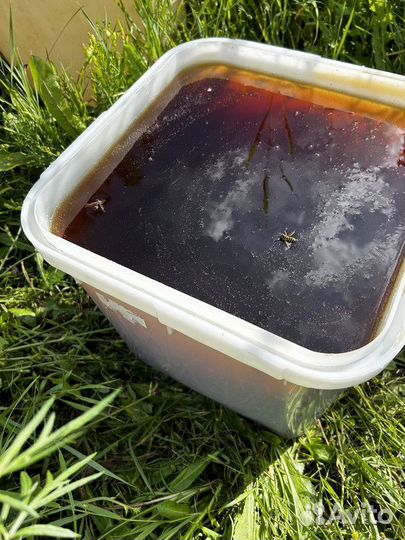 Медтаежный опт