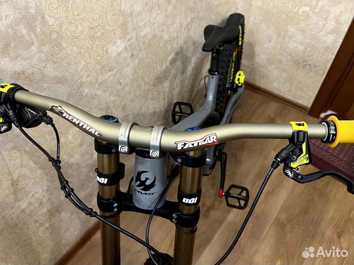 Pivot Phoenix 29 (2022)