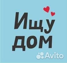 Ягдтерьер в добрые руки