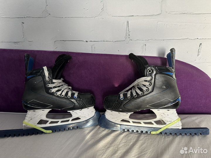 Хоккейные коньки bauer nexus