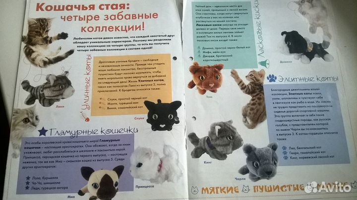 The Cat collection