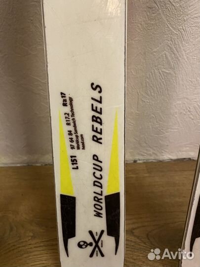 Горные лыжи