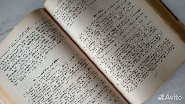 Журналистика В. В. Ворошилов