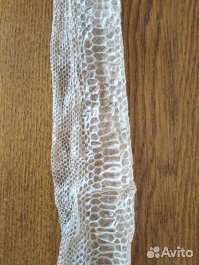 Выползок змеи