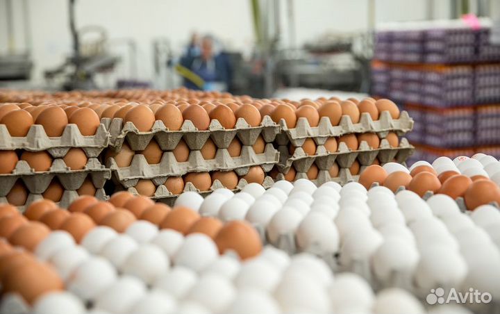 Упаковка для яиц
